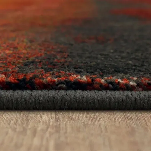 Elements 91015 99999 Odin Multi Rug