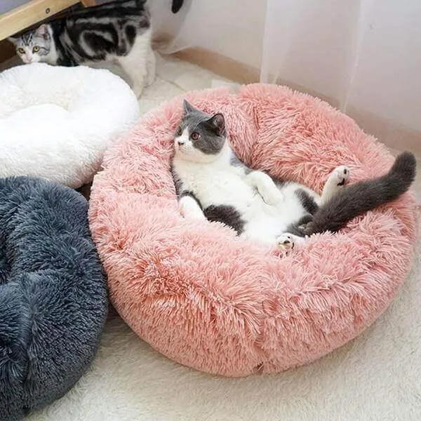 Sweet Dreams Luxury Cat Bed